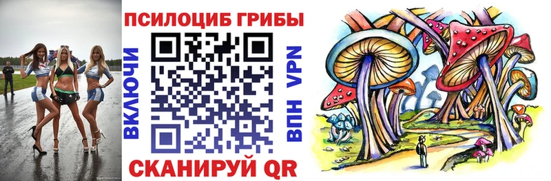 Галлюциногенные грибы MAGIC MUSHROOMS  Купить где  Долгопрудный 